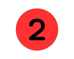 2-no_bg